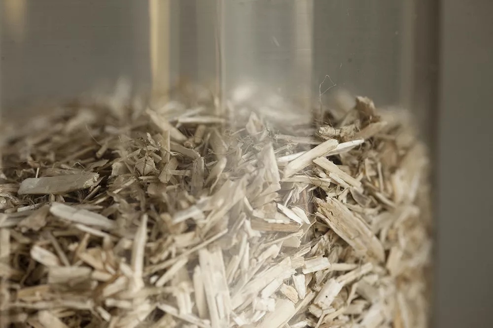 Brique monomur avec isolant intégré IsoHemp — free download